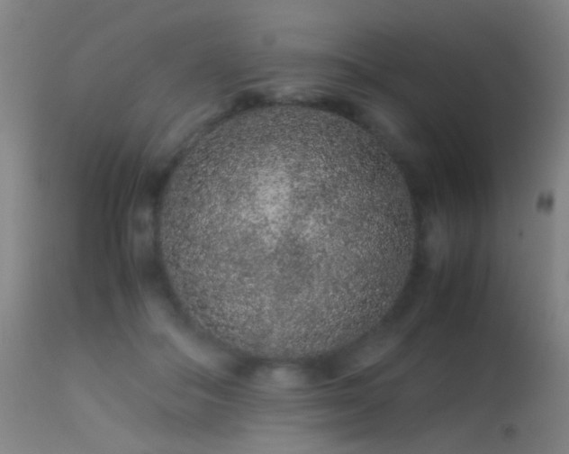 X0000113240506200909171606