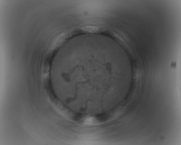 X0000113240507200909171606