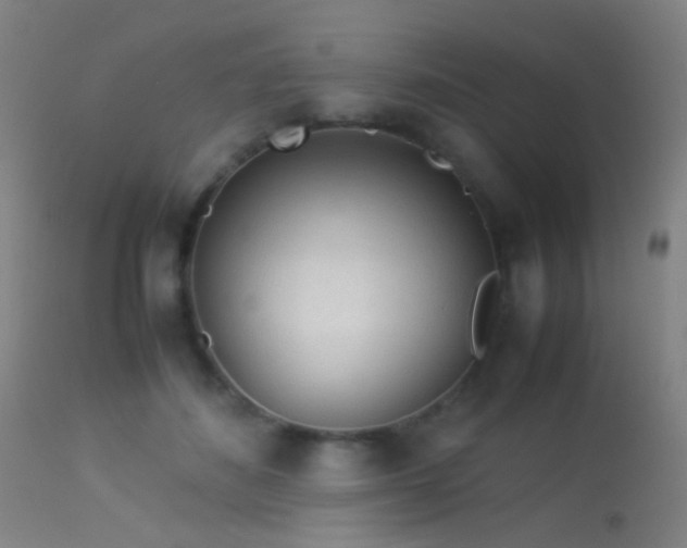 X0000113240508200909171606