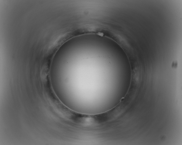 X0000113240509200909171606