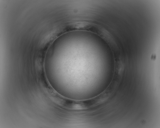 X0000113240510200909171606