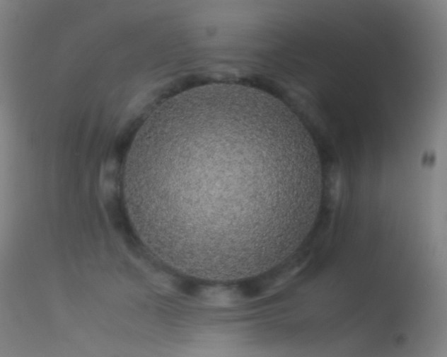 X0000113240511200909171606