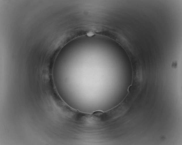 X0000113240512200909171606