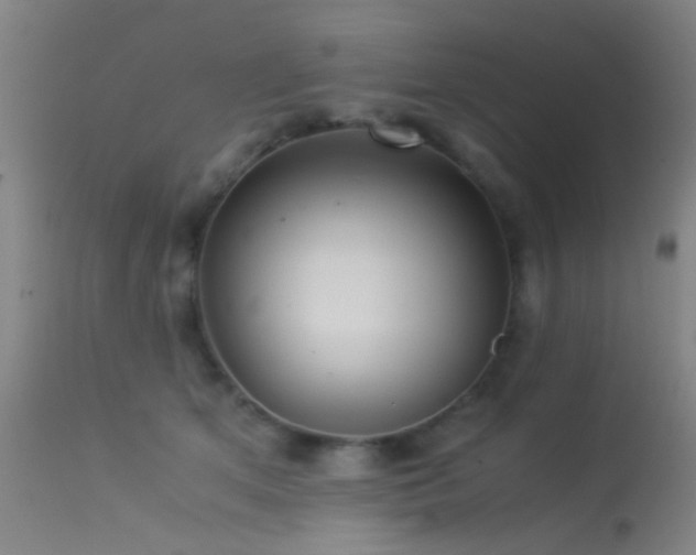 X0000113240513200909171606