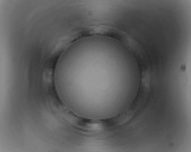 X0000113240514200909171606