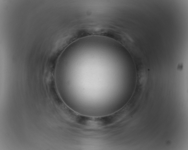 X0000113240515200909171606