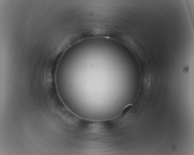 X0000113240516200909171605