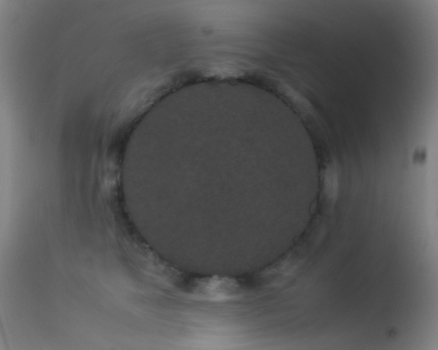 X0000113240517200909171605