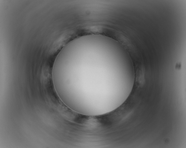 X0000113240518200909171605