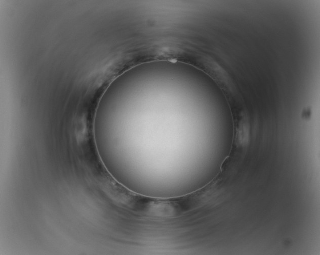 X0000113240520200909171605