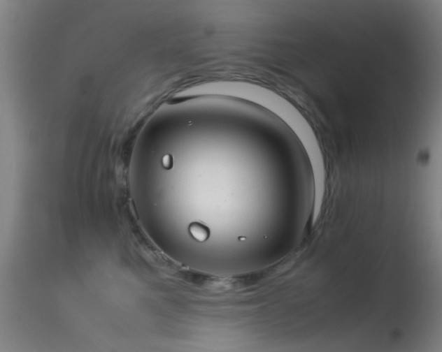 X0000113240521200909171605