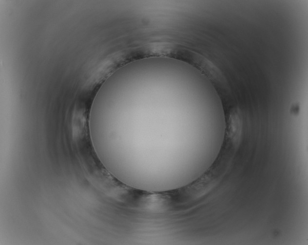 X0000113240522200909171605