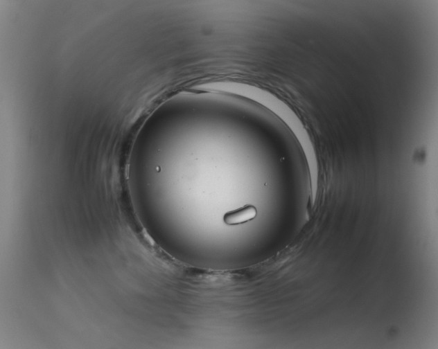 X0000113240524200909171605