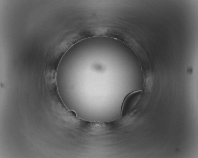 X0000113240525200909171605