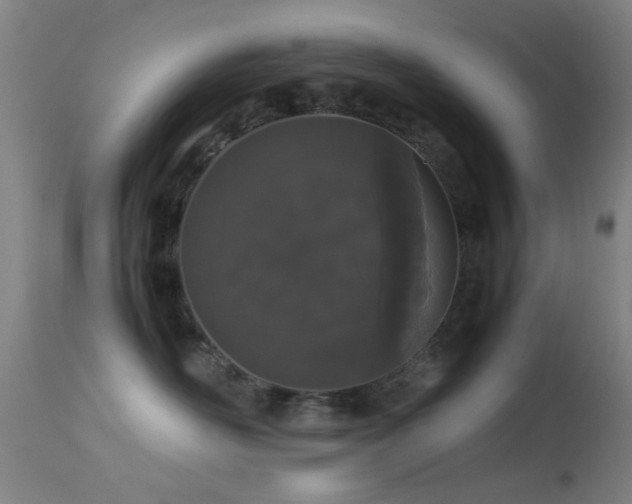 X0000113240526200909171605