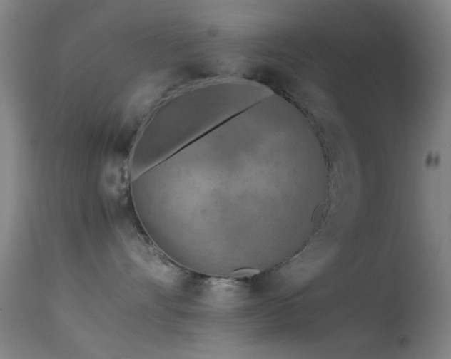 X0000113240528200909171605