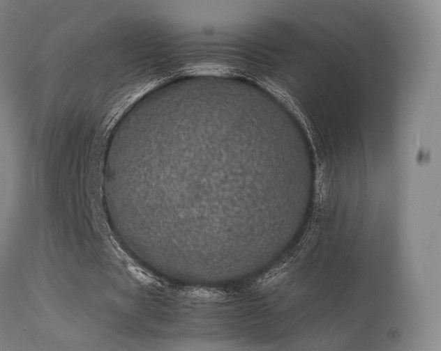 X0000113240529200909171605