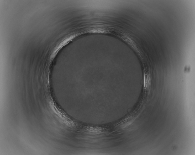 X0000113240531200909171605