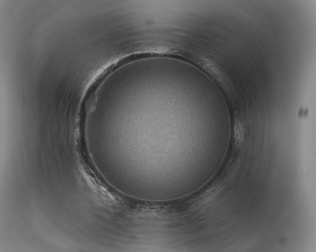 X0000113240532200909171605