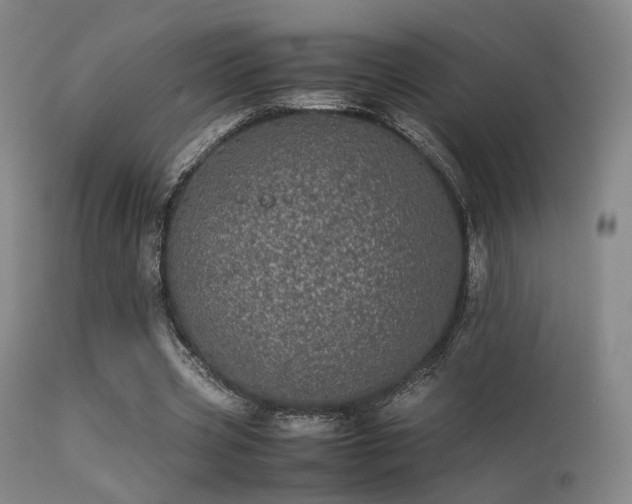 X0000113240533200909171605