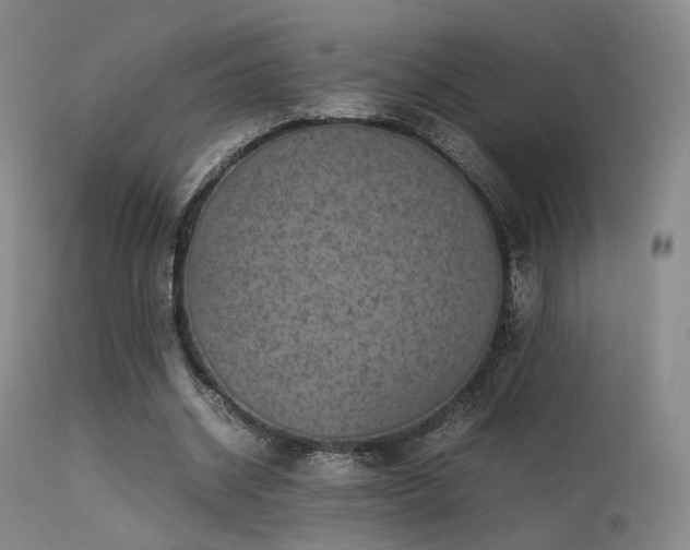 X0000113240534200909171605