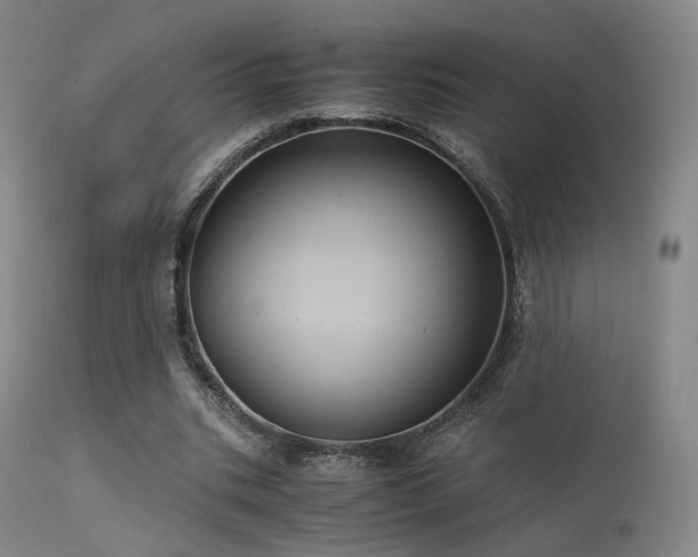 X0000113240535200909171605