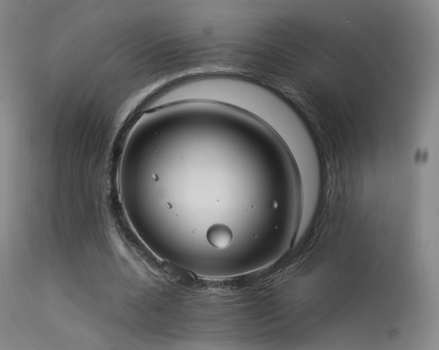 X0000113240536200909171605