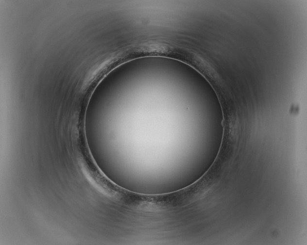 X0000113240538200909171605