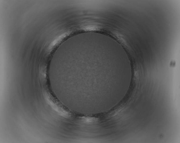 X0000113240539200909171605