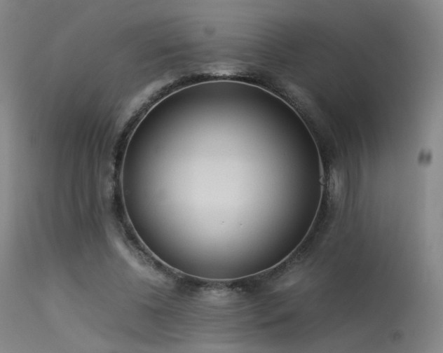 X0000113240540200909171605