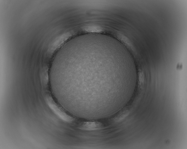 X0000113240541200909171605