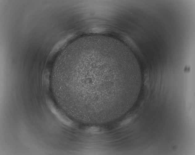 X0000113240542200909171605