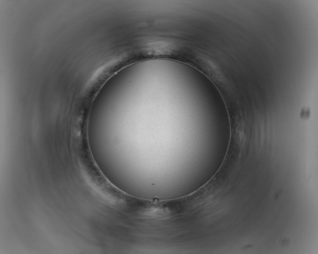 X0000113240543200909171605