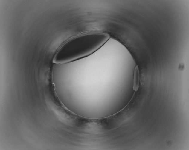 X0000113240544200909171605