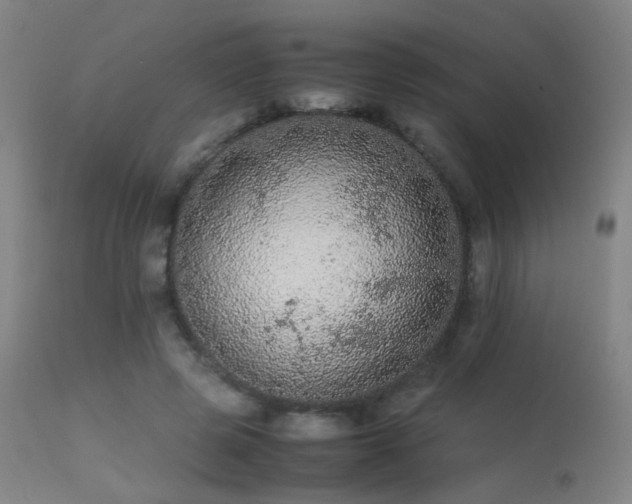 X0000113240545200909171605