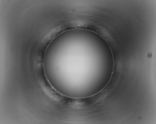 X0000113240546200909171605