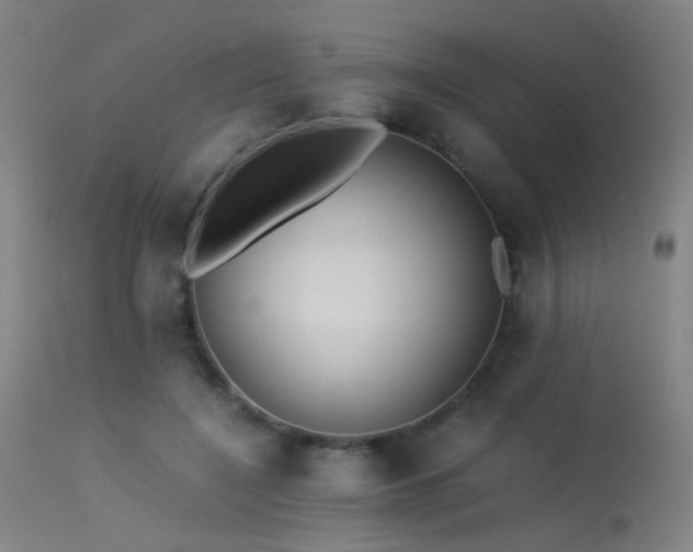 X0000113240548200909171605