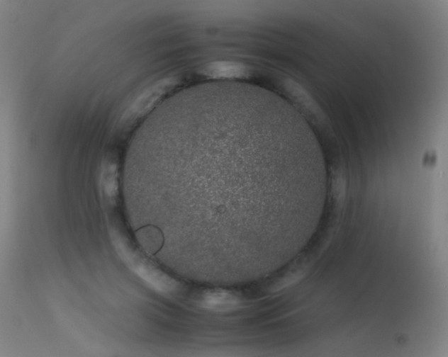 X0000113240549200909171605