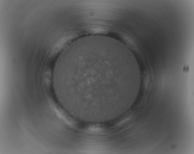 X0000113240550200909171605