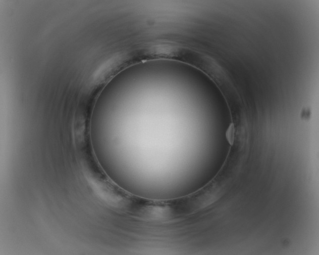 X0000113240552200909171605