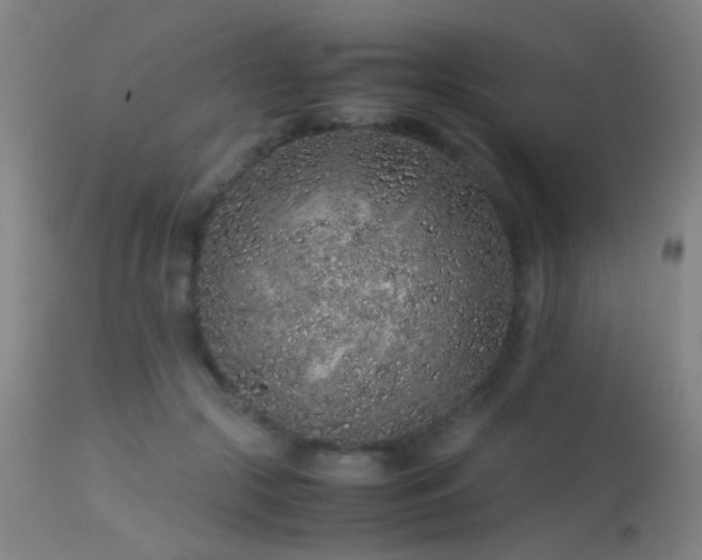 X0000113240553200909171605