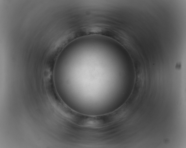 X0000113240555200909171605