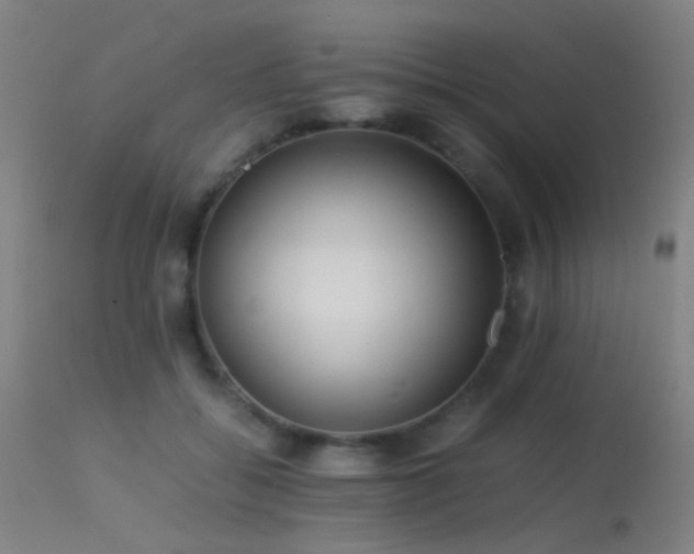 X0000113240556200909171605