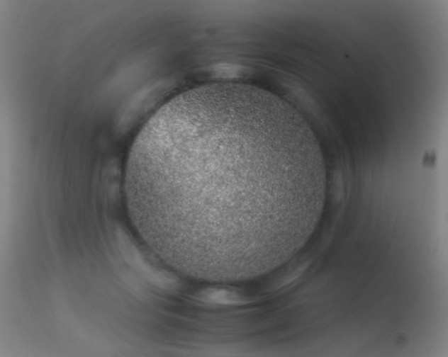 X0000113240557200909171605