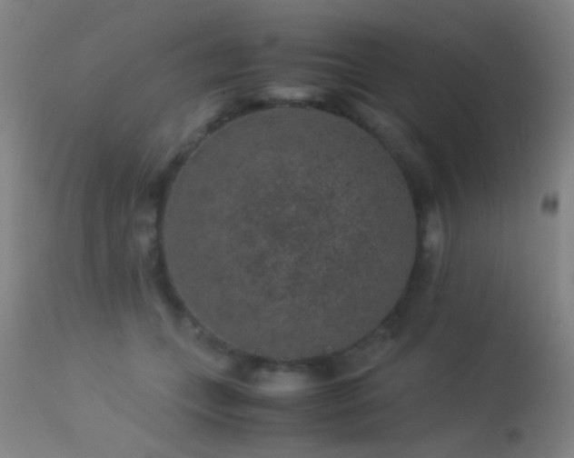 X0000113240559200909171605