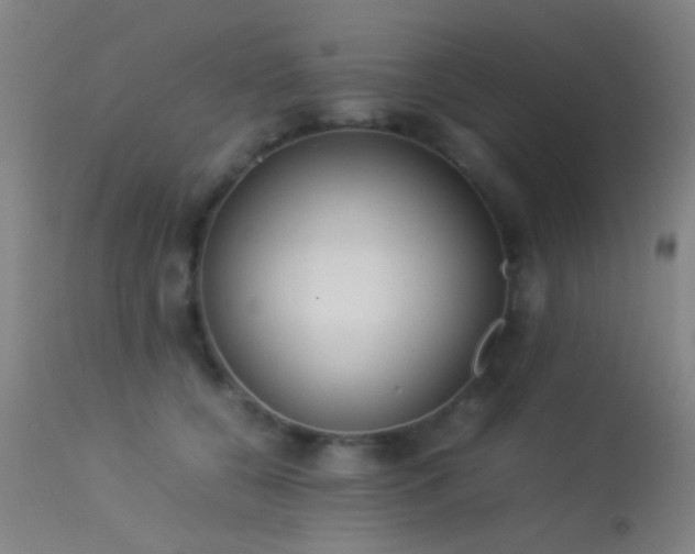 X0000113240560200909171605