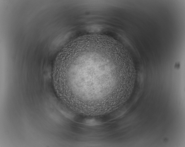 X0000113240561200909171605