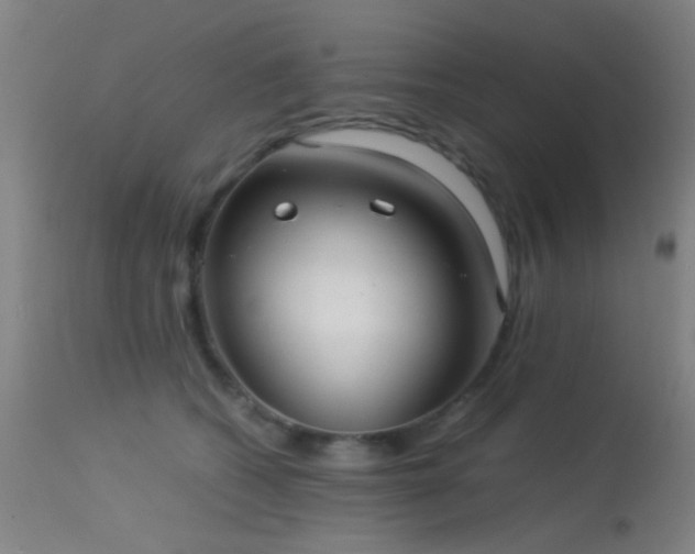 X0000113240562200909171605