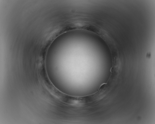 X0000113240563200909171605