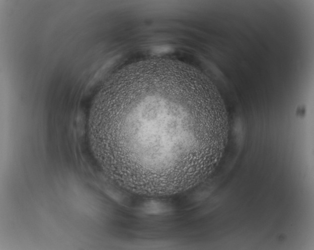 X0000113240565200909171605